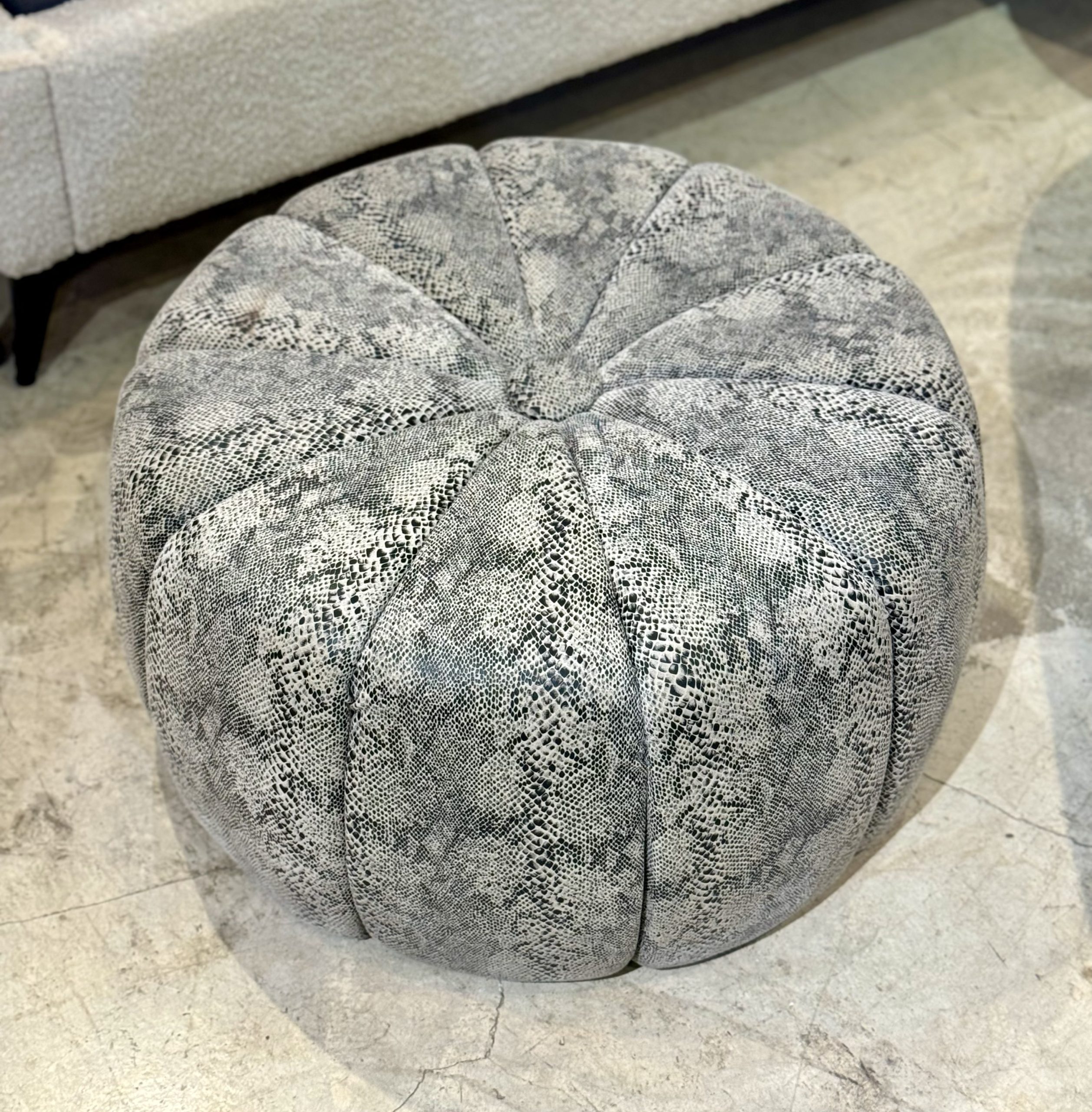 הדום אפור קפיטונז