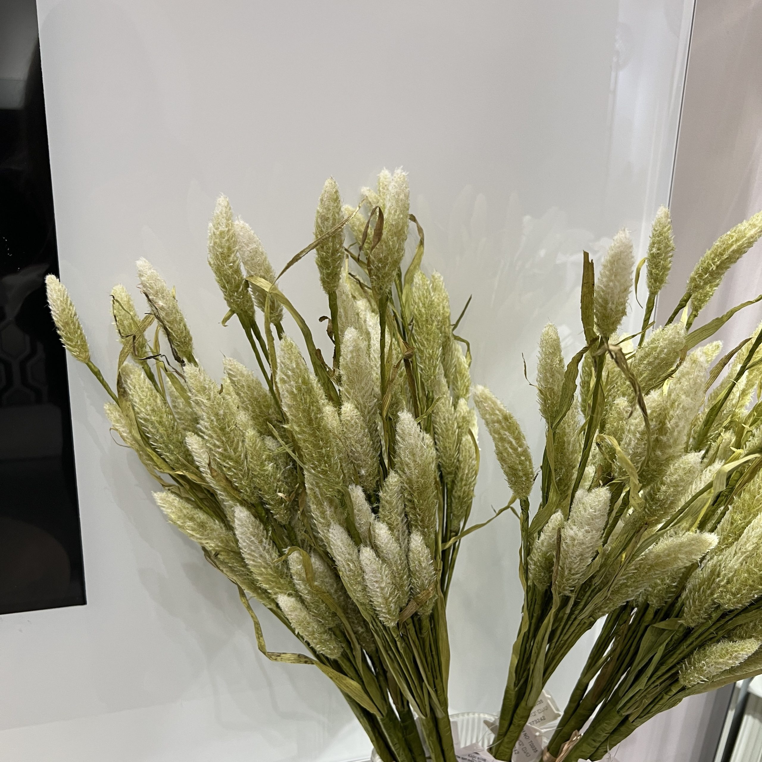 בוקט 3 ענפי פמפס קצר גבוה דגם אליס בוקט 3 ענפי פמפס קצר גבוה דגם אליס