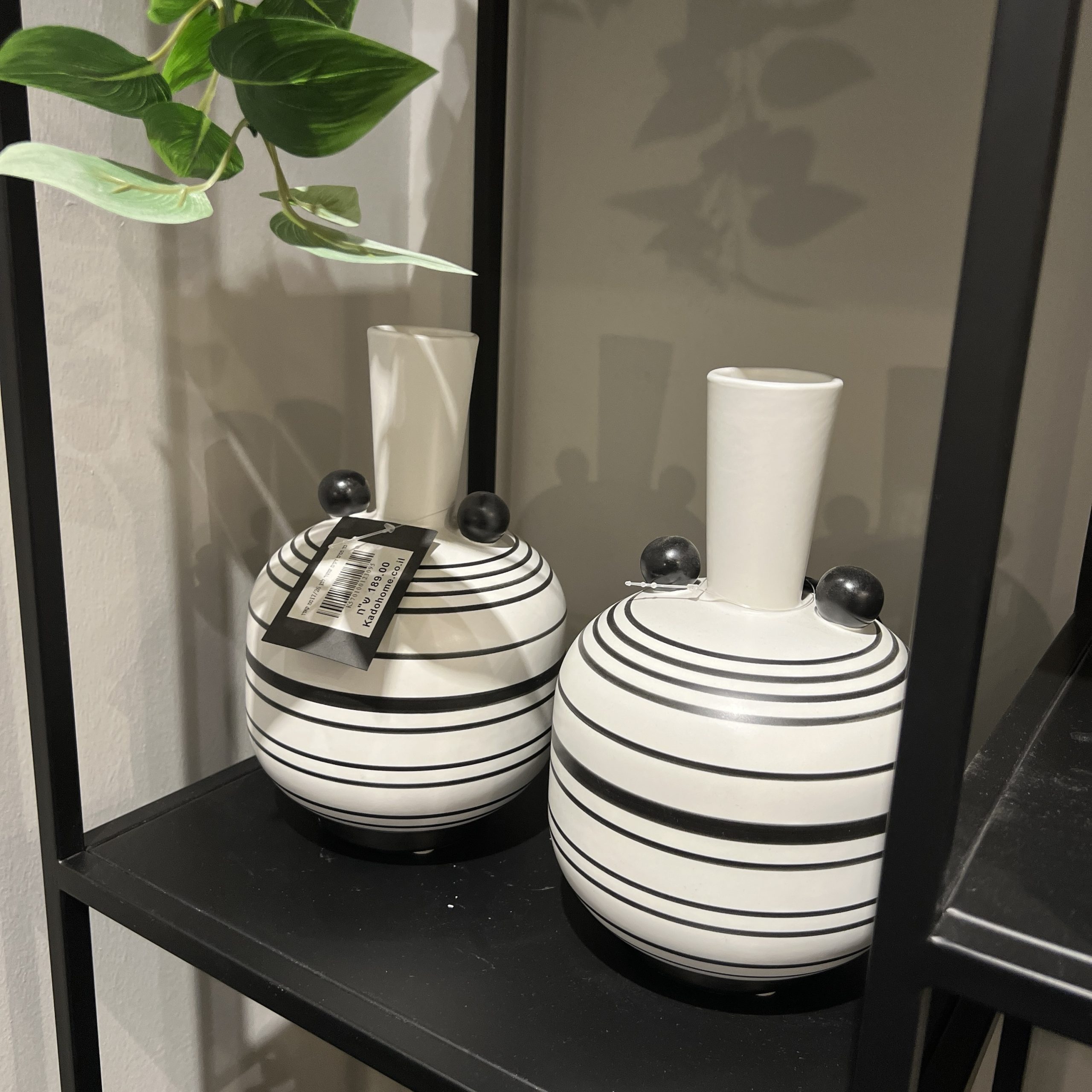 כד פסים דקים שחור לבן כד פסים דקים שחור לבן