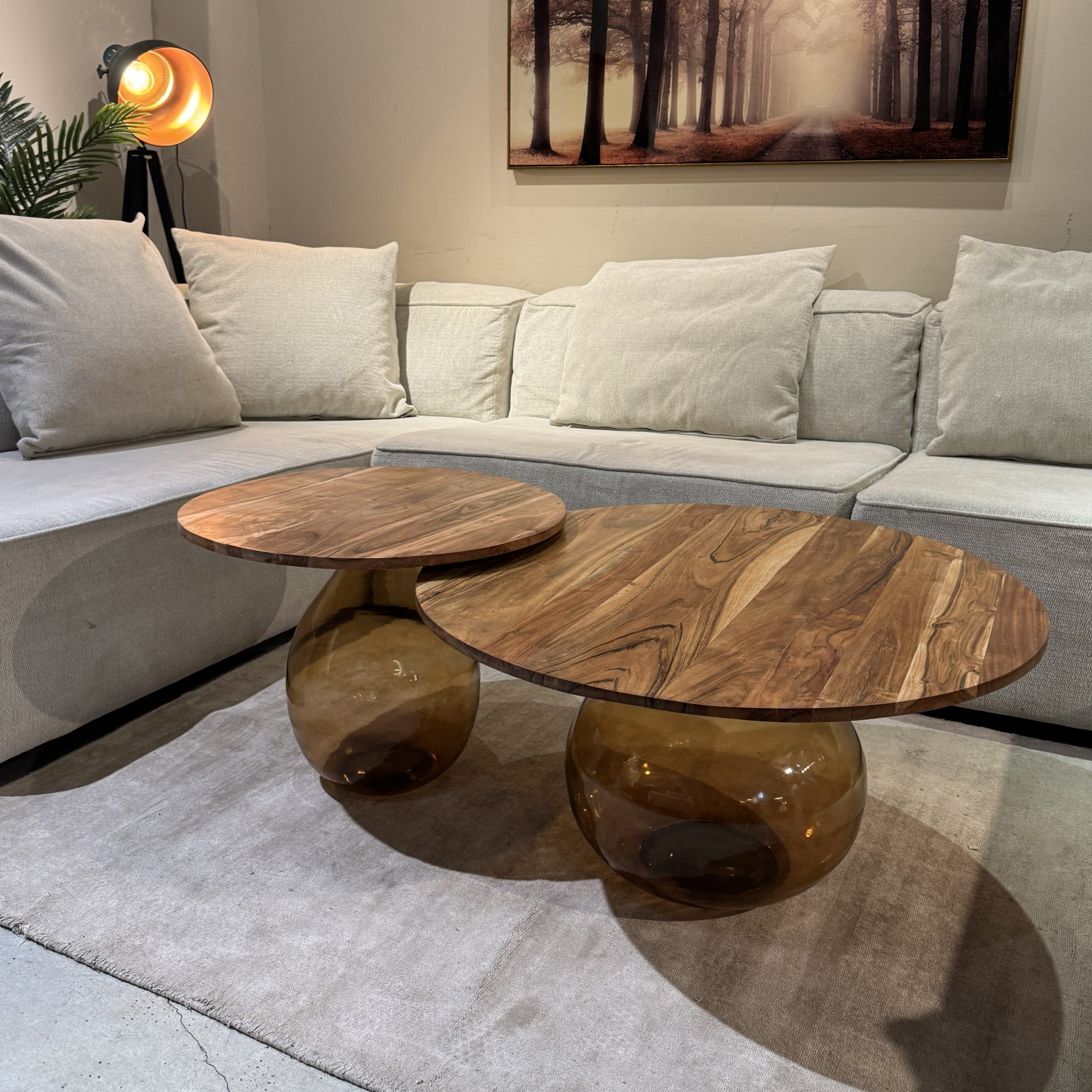 שולחן סלון גלורי בסיס זכוכית חומה פלטה עץ דגם ראבי שולחן סלון גלורי בסיס זכוכית חומה פלטה עץ דגם ראבי