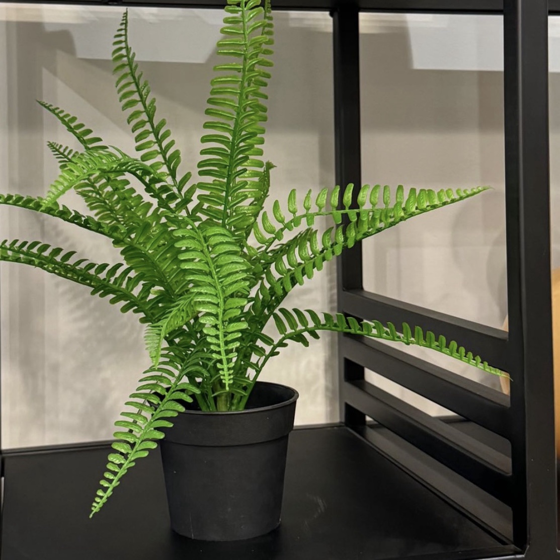 עציץ ירק כלי שחור דגם איקו עציץ ירק כלי שחור דגם איקו