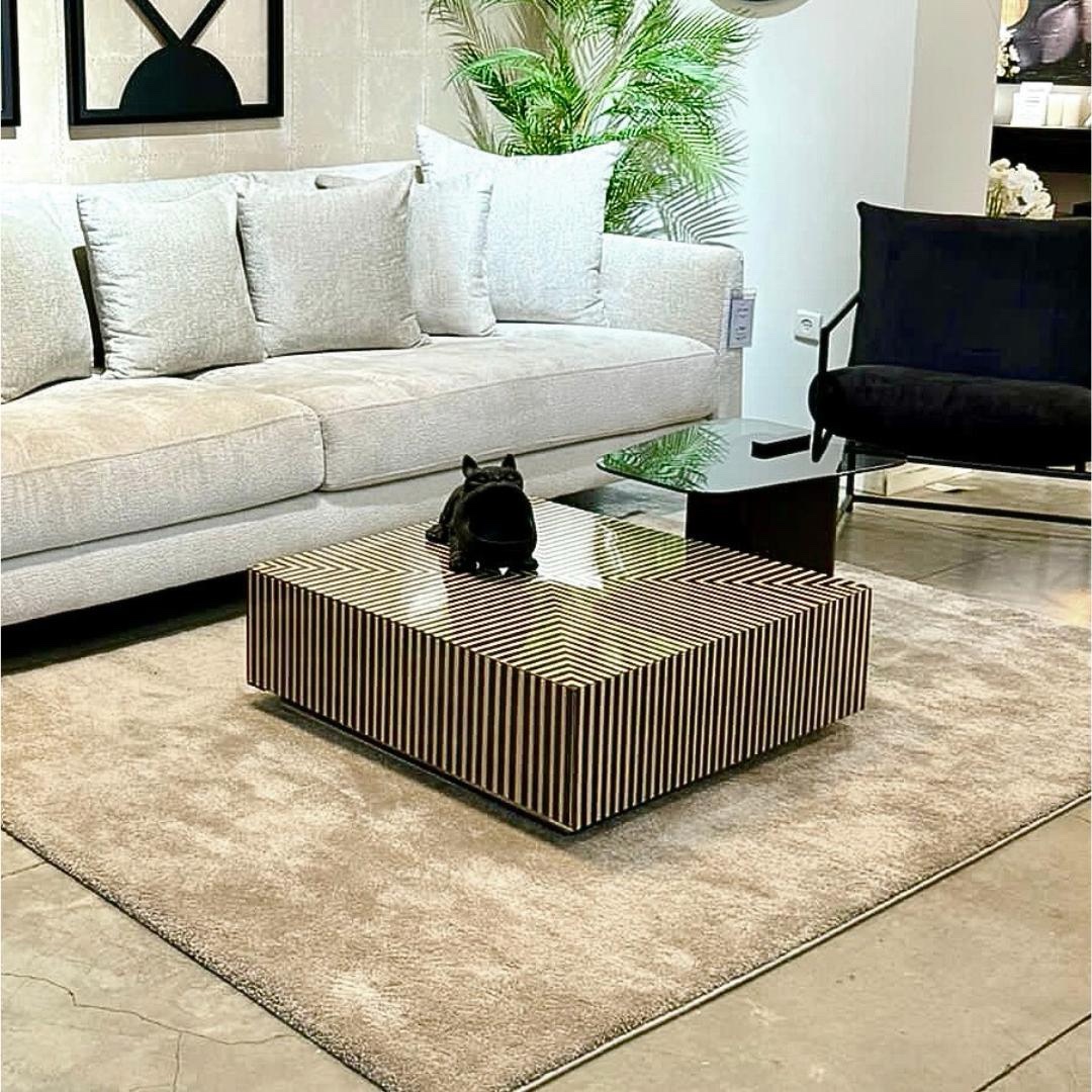 סט שולחנות סלון זברה מרובע נשכן מלבן דגם קימי photo number 5