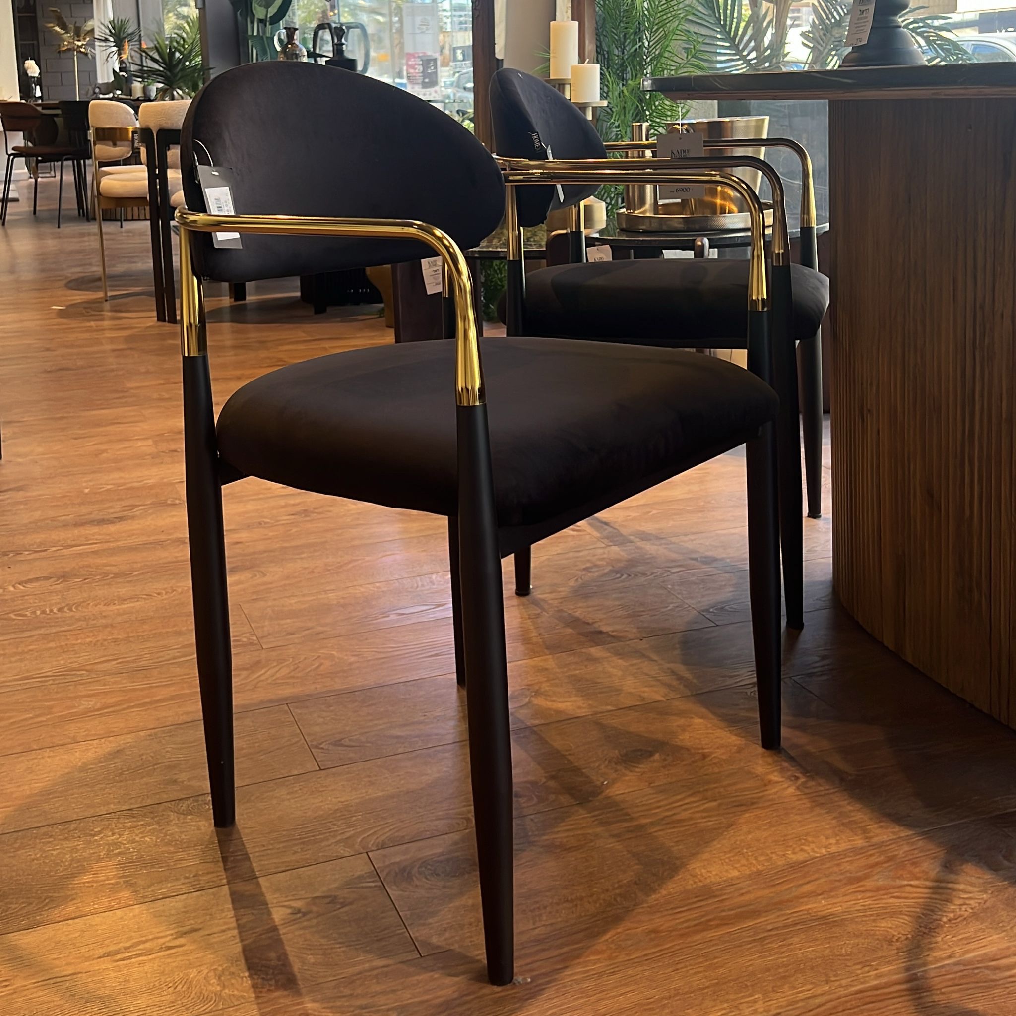 כסא פינת אוכל ידיות זהב רגליים שחור קטיפה שחור דגם מודרן קימי כסא פינת אוכל ידיות זהב רגליים שחור קטיפה שחור דגם מודרן קימי