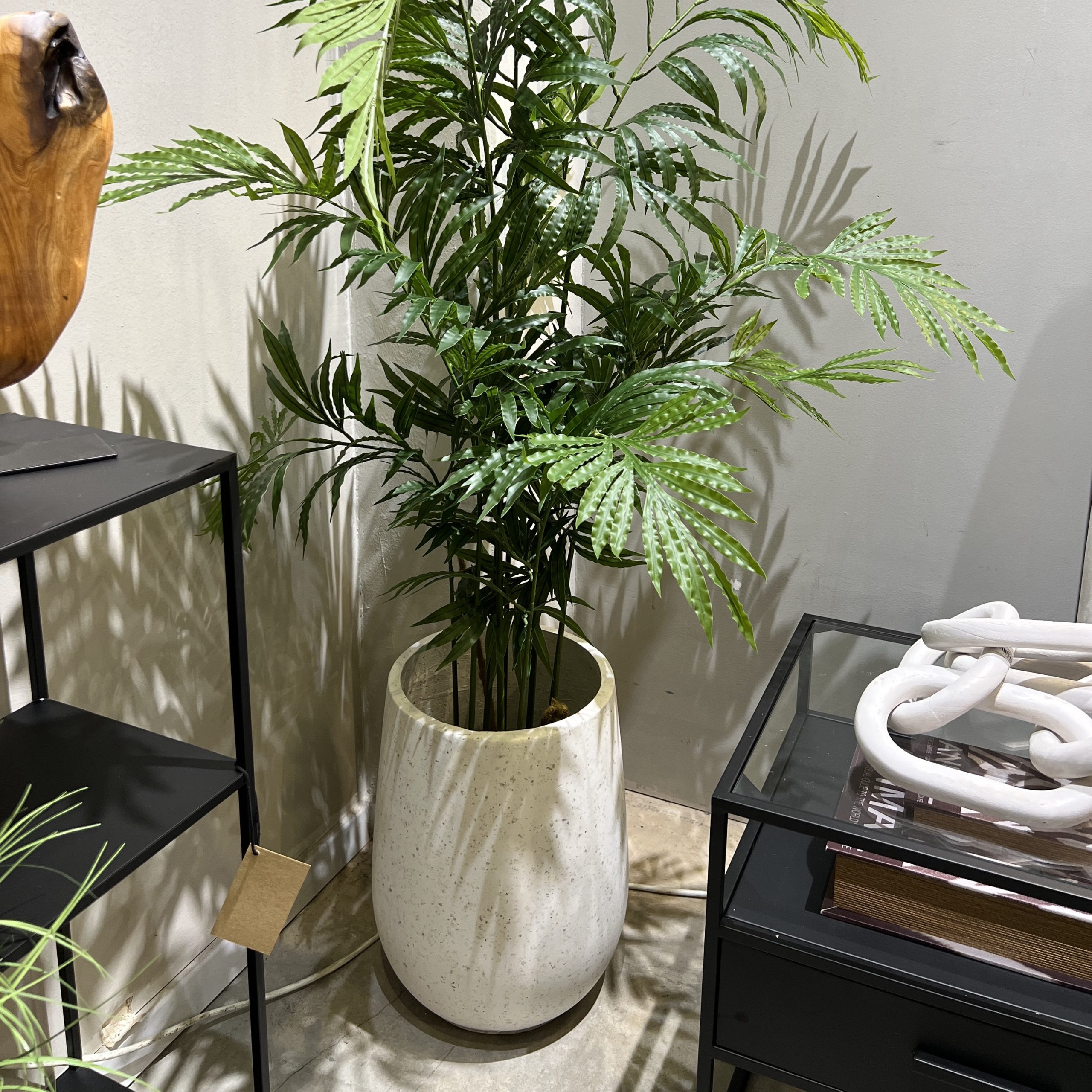 כד טרצו נקודות חלק דגם אליס