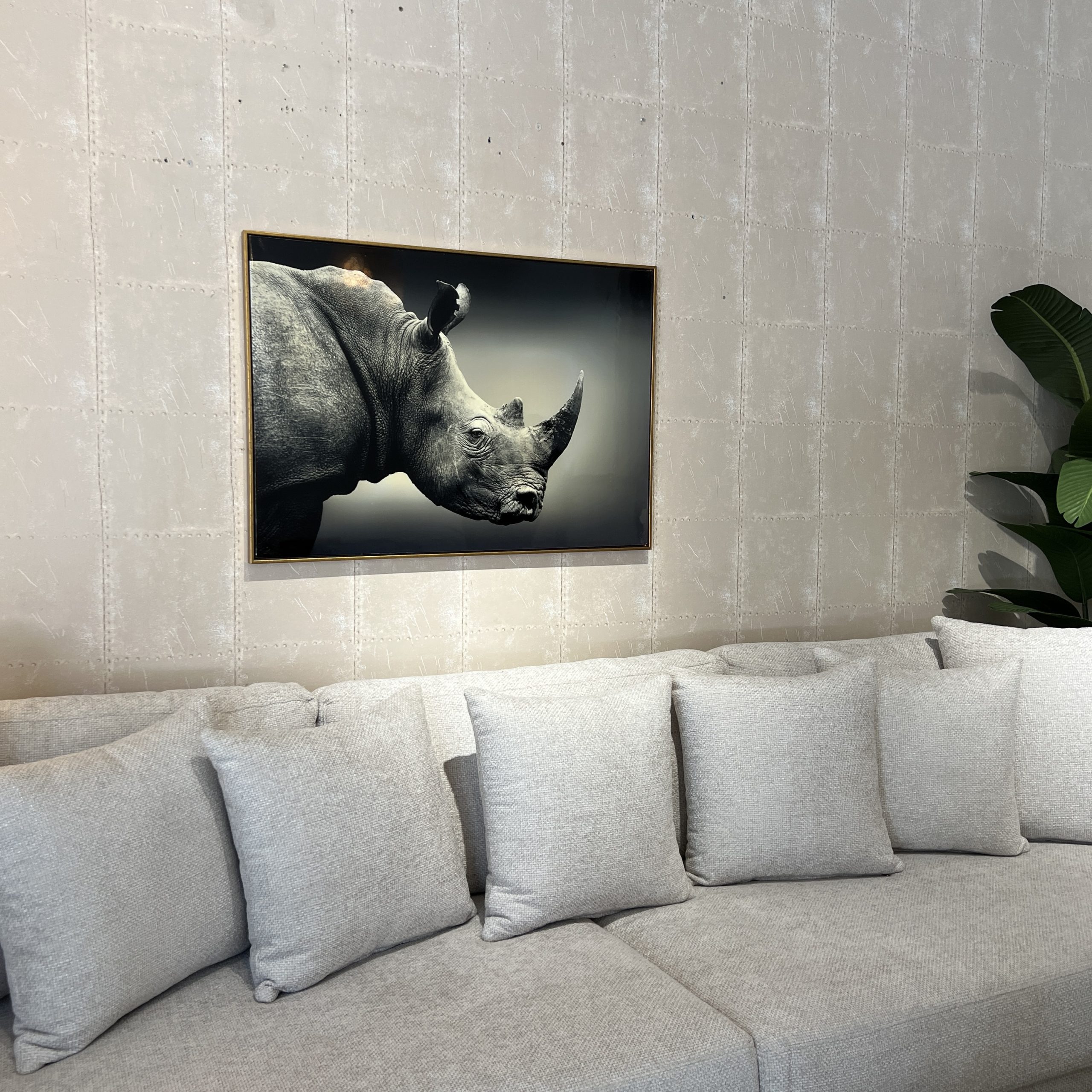 תמונה קרנף מבריקה מסגרת זהב 70/100 דגם איקו תמונה קרנף מבריקה מסגרת זהב 70/100 דגם איקו