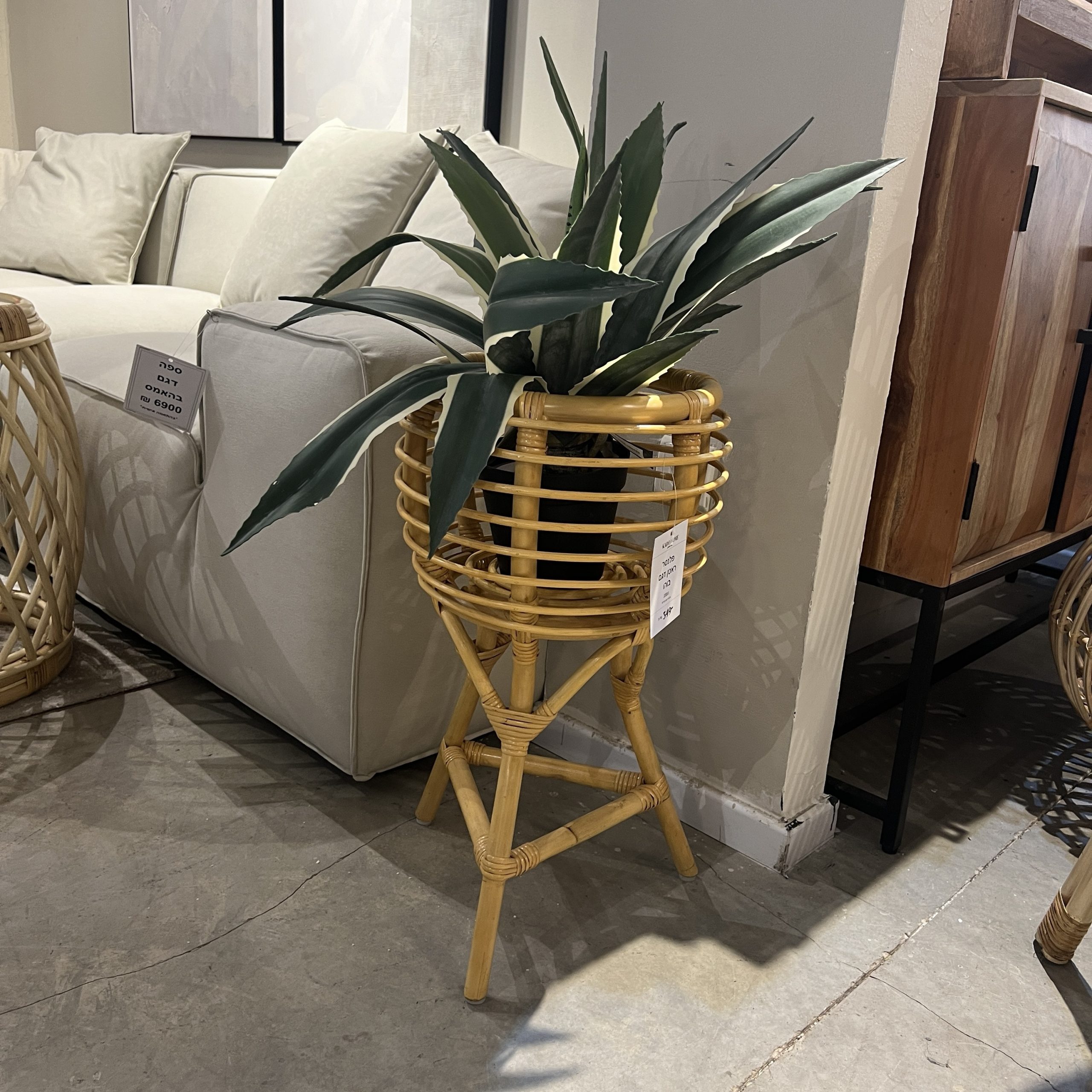 כד פלנטר ראטן בוהו בונטיים כד פלנטר ראטן בוהו בונטיים