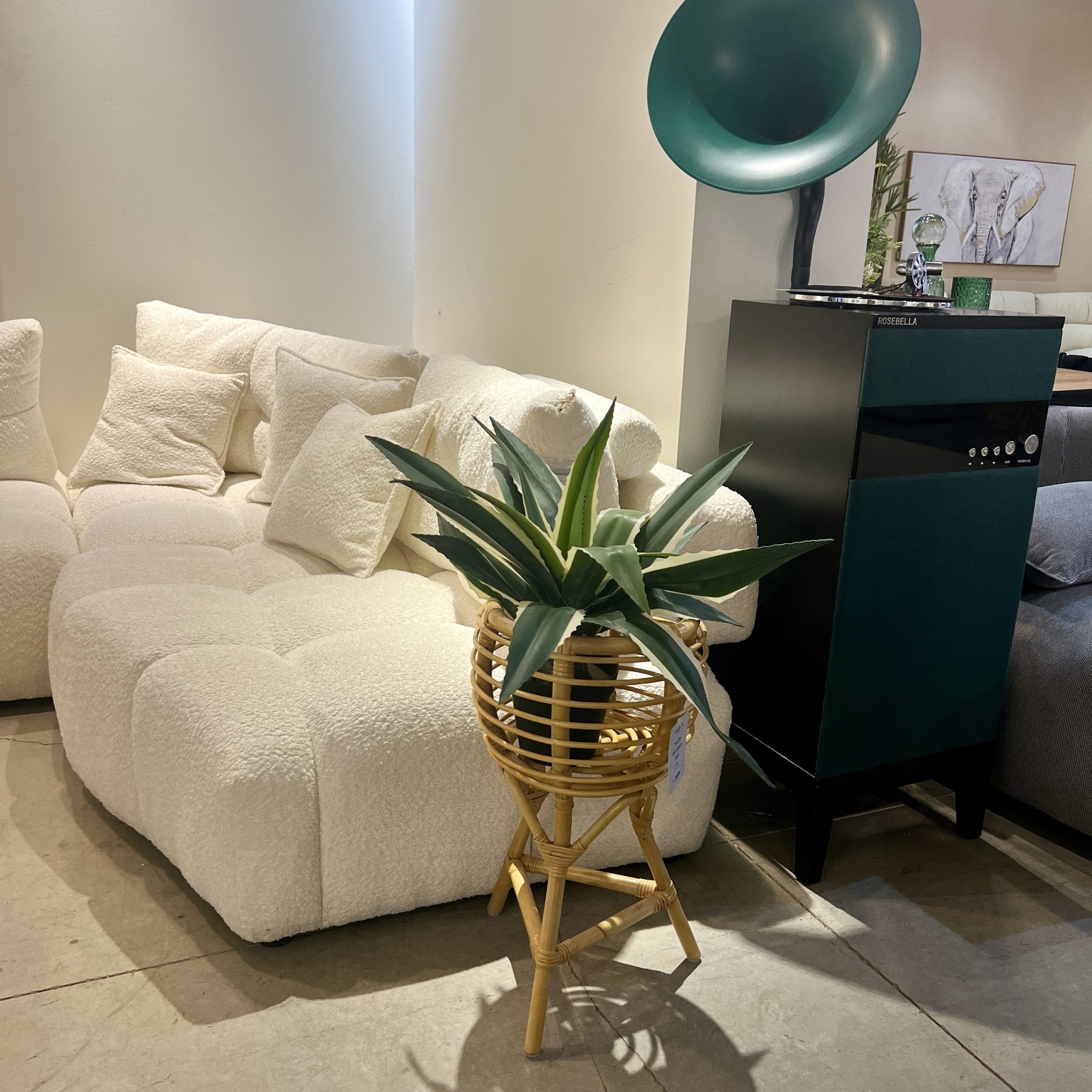 כד פלנטר ראטן בוהו בונטיים כד פלנטר ראטן בוהו בונטיים