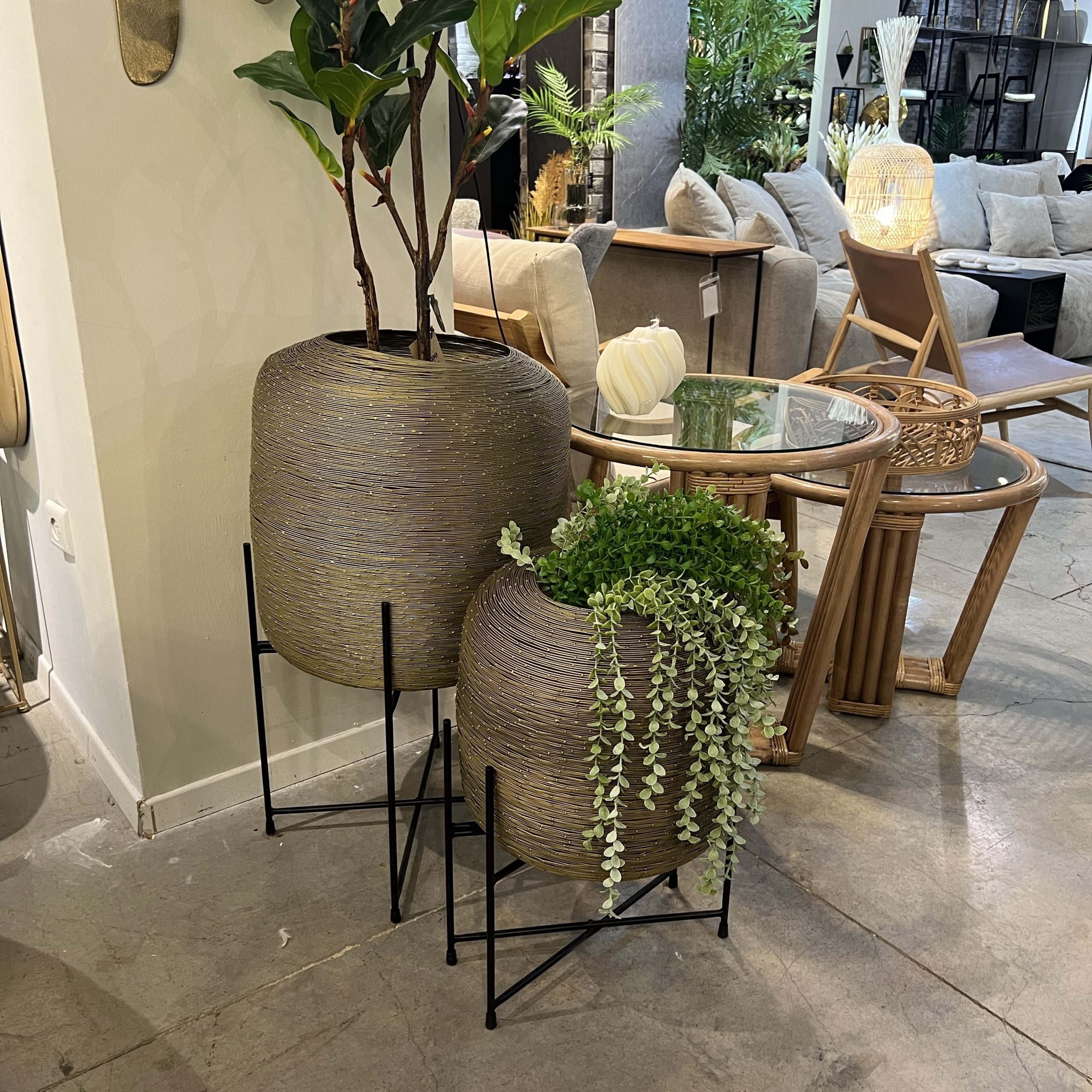 פלנטר דגם ראבי חוטי ברזל זהב עם סטנד פלנטר דגם ראבי חוטי ברזל זהב עם סטנד