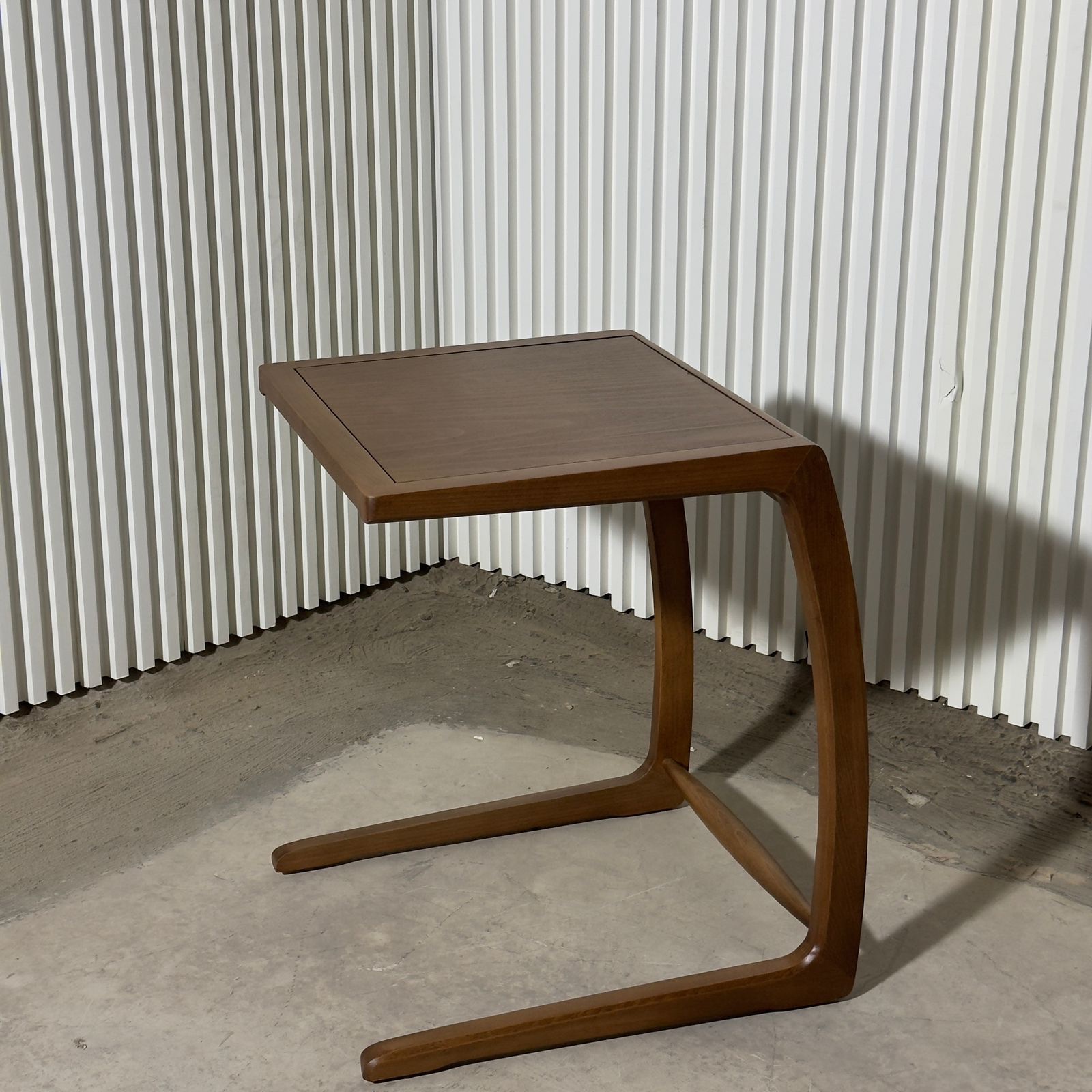 נשכן דגם פרו נשכן דגם פרו