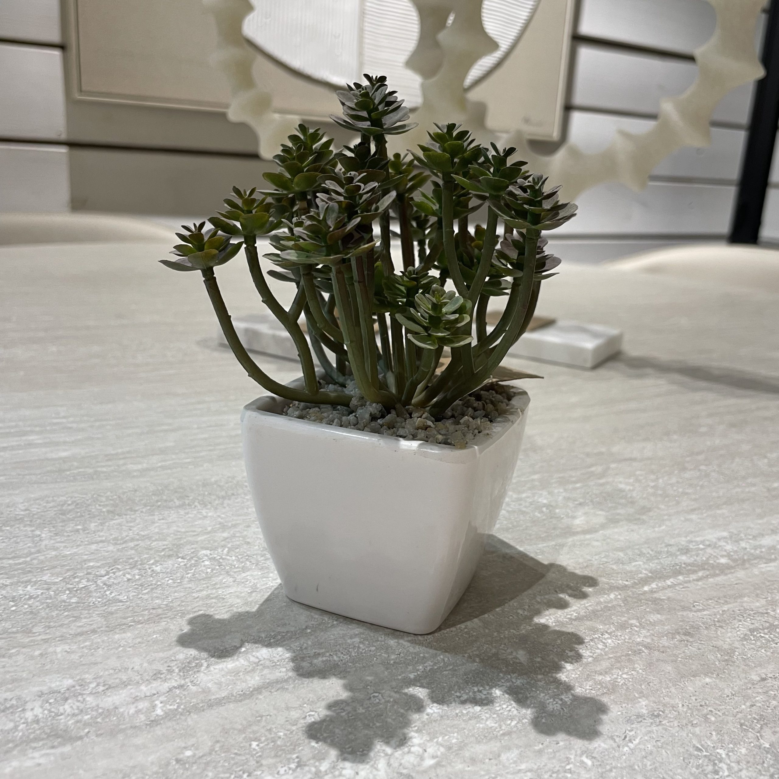 עציץ נוי מעוצב כד לבן במבצע עציץ נוי מעוצב כד לבן במבצע