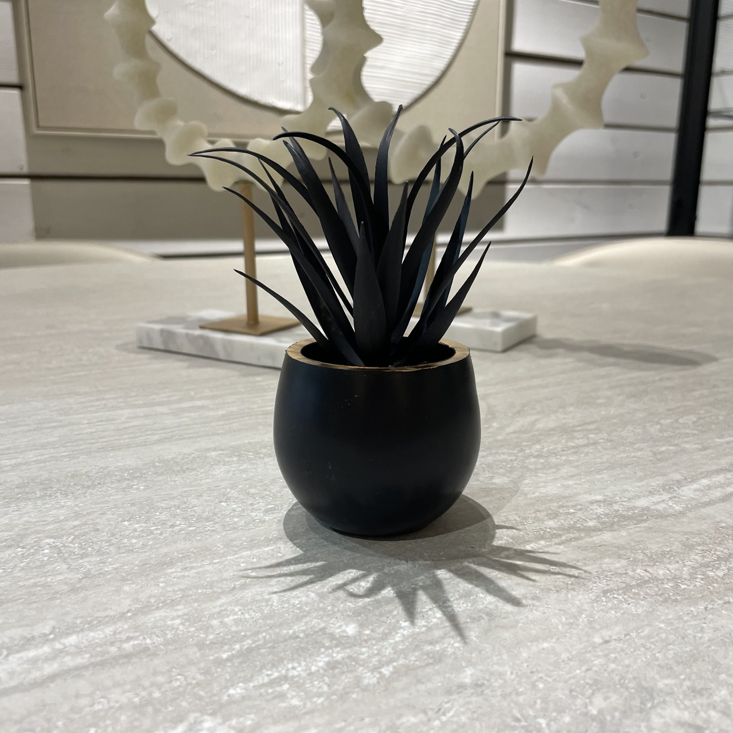 עציץ נוי מיני שחור במבצע עציץ נוי מיני שחור במבצע