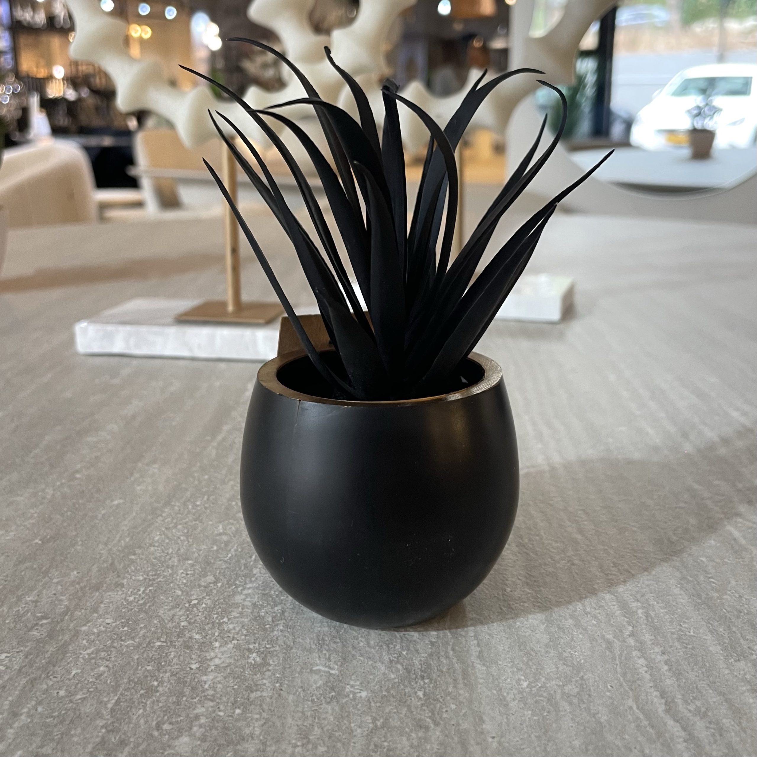 עציץ נוי מיני שחור במבצע עציץ נוי מיני שחור במבצע